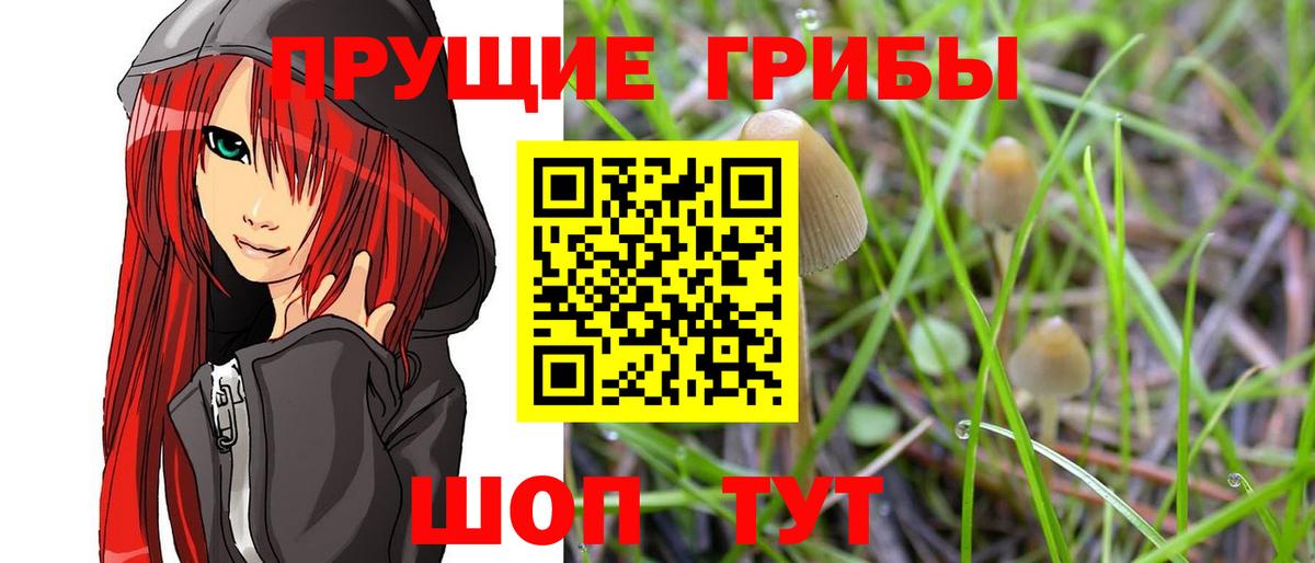 Псилоцибиновые грибы мухоморы Котельники