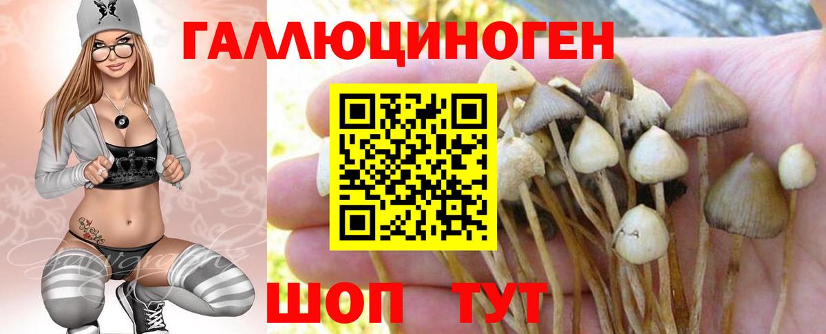 Котельники  купить   Галлюциногенные грибы мицелий  Вход с VPN  Псилоцибиновые грибы MAGIC MUSHROOMS 